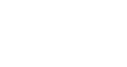 Anew Brands